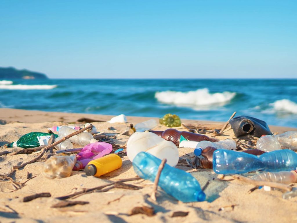 脱プラスチック容器」で、プラスチックごみによる環境問題に貢献を | 天満紙器