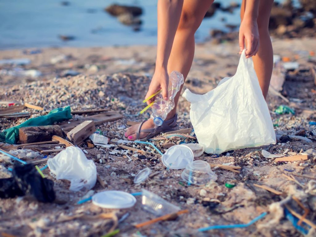 海岸に漂着したプラスチックごみ