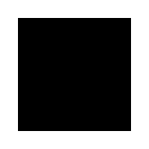 WP1900