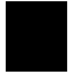 WP4100